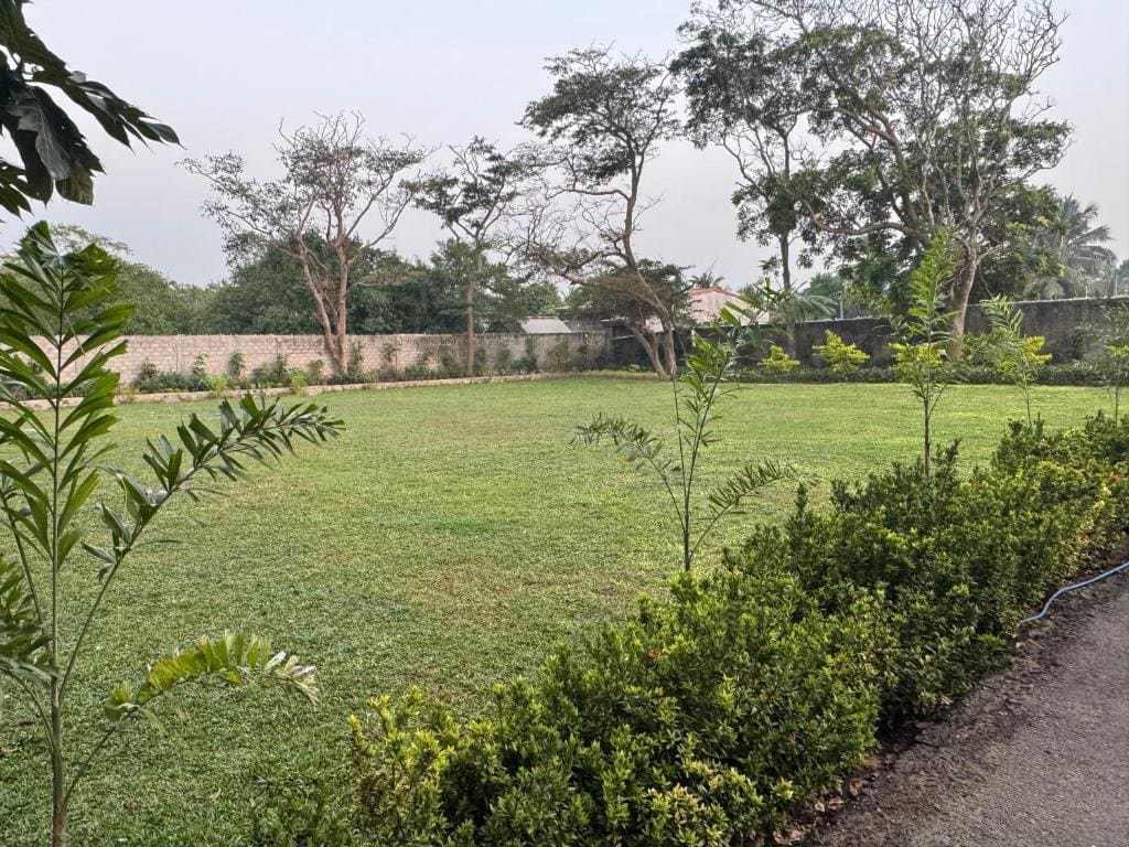 Thronefield Eco Lodge - View 7