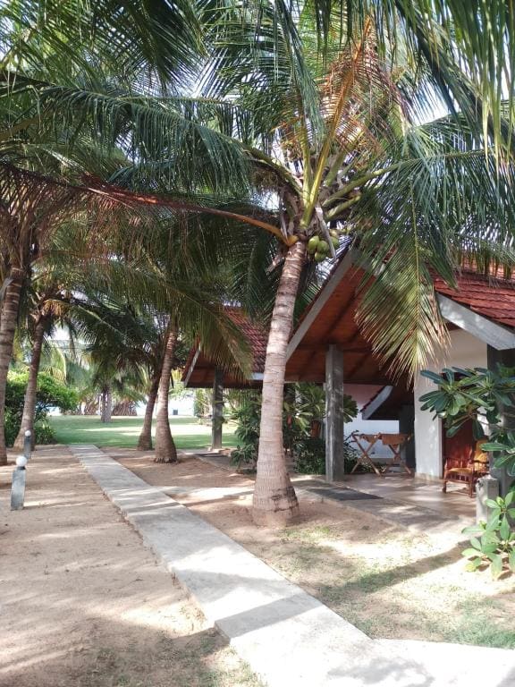 Villa Nilaveli Cabana - View 7
