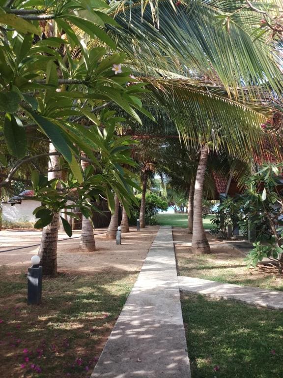 Villa Nilaveli Cabana - View 5