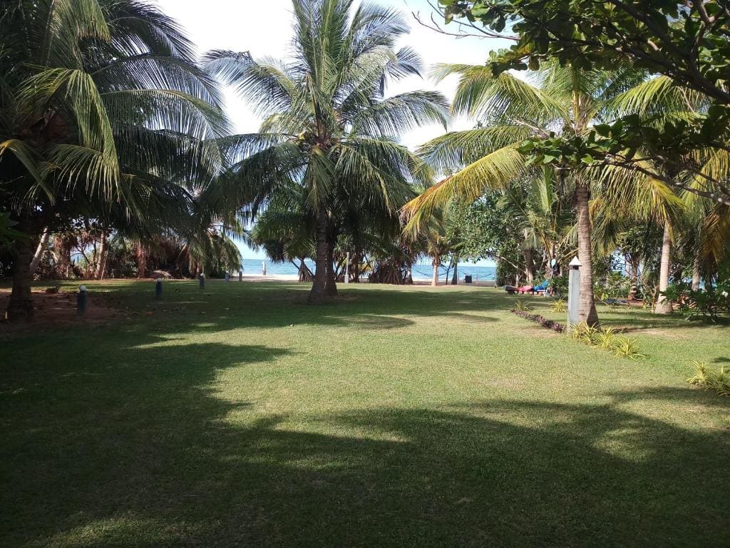 Villa Nilaveli Cabana - Main view