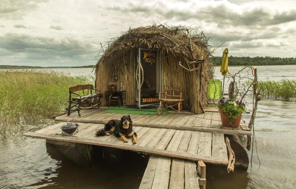 Bebru māja - Beaver house - View 5