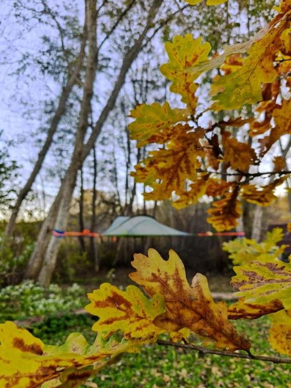 Tree tents Camping — Ansicht 2