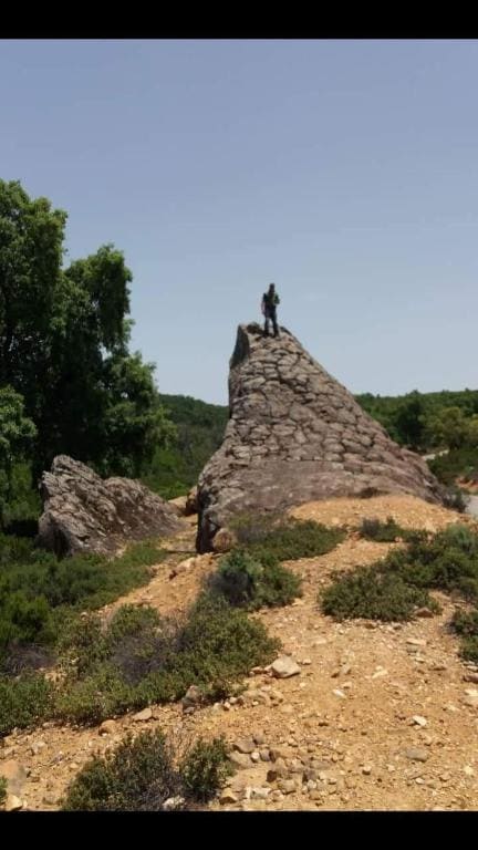 Maison d'hôtes "Abou-Hachem" - Main view