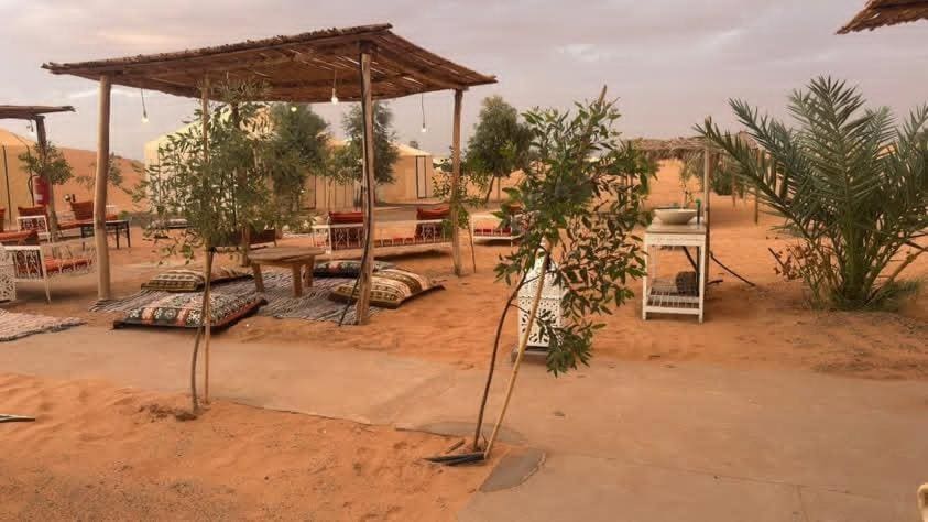 Desert luxury - View 3