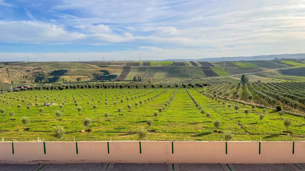 Ferme d'hôtes Bladna Garden - View 5