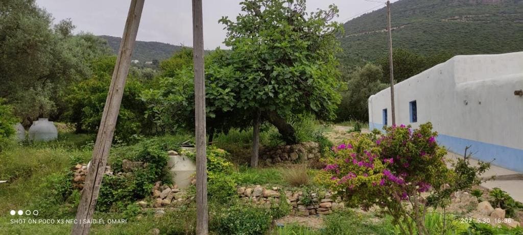 GITE TAGMA - View 6