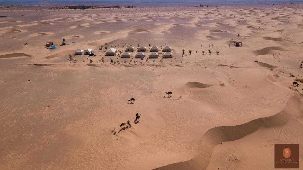 Luxury beldi camp - View 5