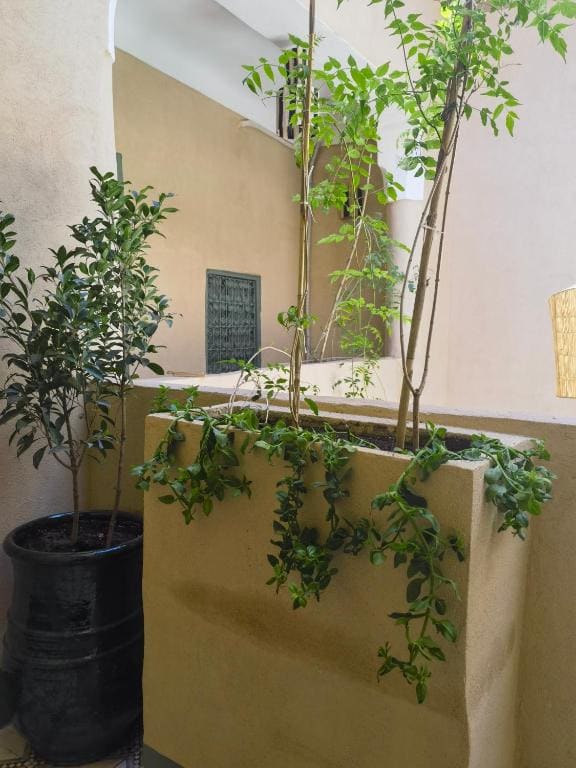 Medina Oasis Hostel - Προβολή 4