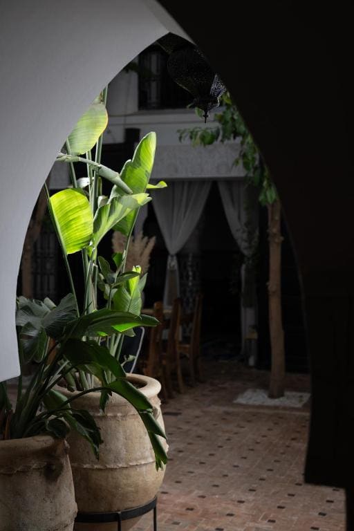 Riad Ajmal - View 7