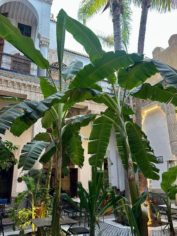 RIAD LOUDAYA AND SPA - View 3