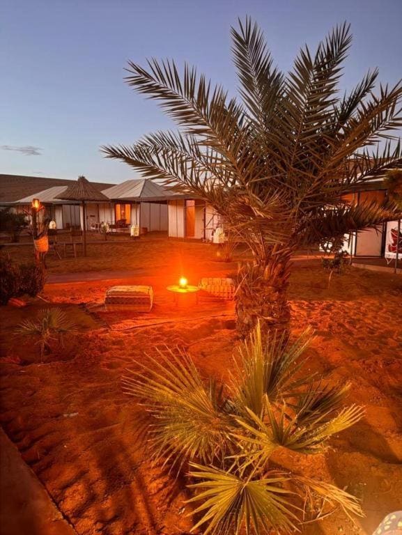 Tamazirt Desert Camp - View 3