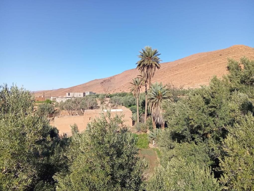 Tigmmi alhana - Vista 5