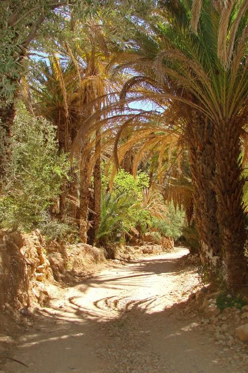 Tizourgane Kasbah - Foto 4