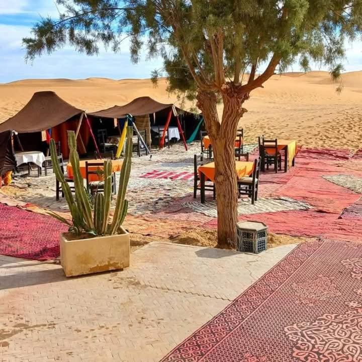 visitando el desierto - View 5