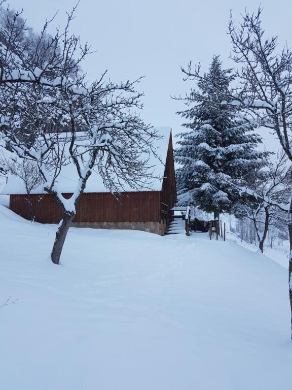 Detached house Milivoje - View 2