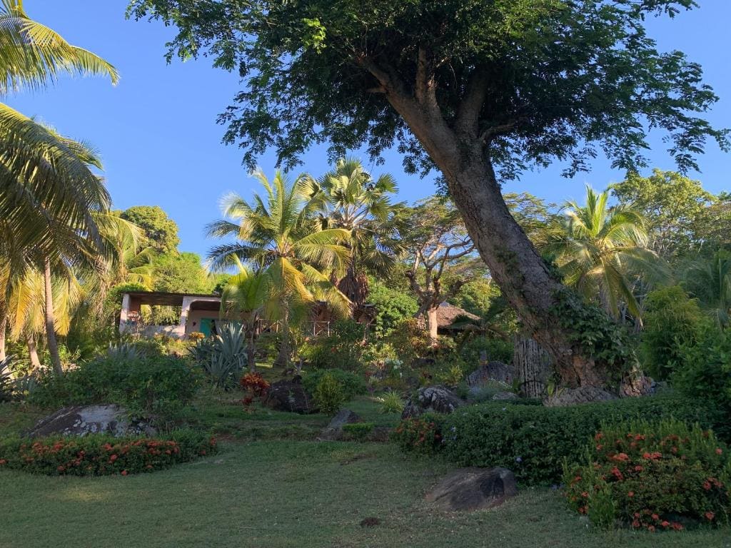 Les Jardins d'Ankify - View 7