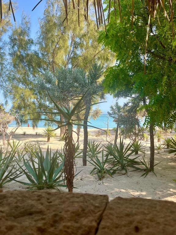 Hôtel Safari Vezo Anakao - View 4
