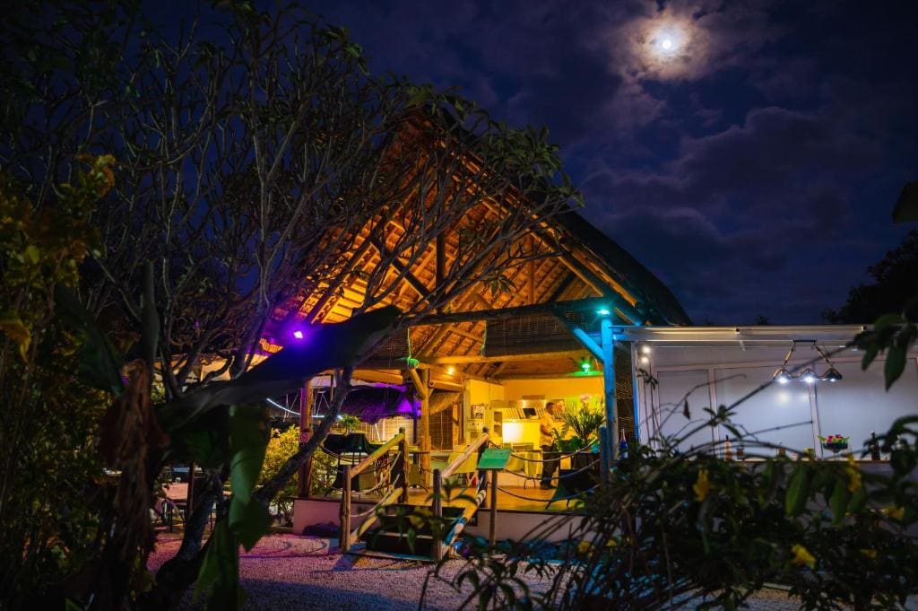 The Garden Lodge Pereybere - Piscine & Jardin - View 5