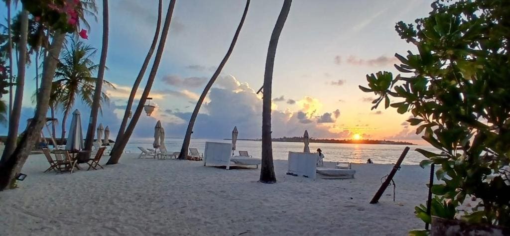 Batuta Maldives Surf View - 写真 2