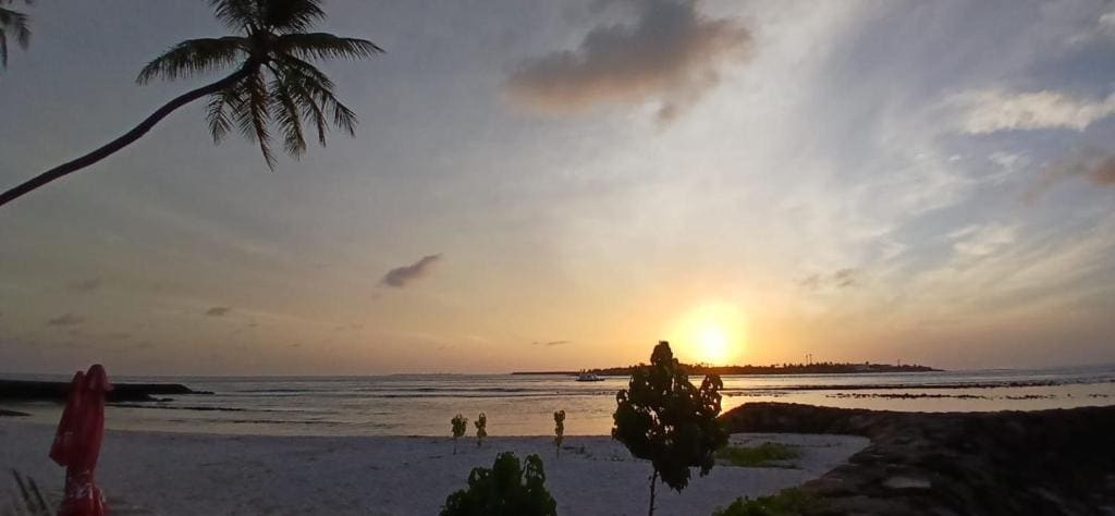Batuta Maldives Surf View - 写真 3