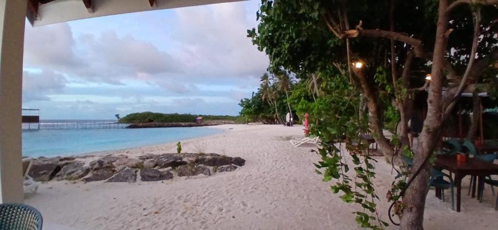 Batuta Maldives Surf View - 写真 4