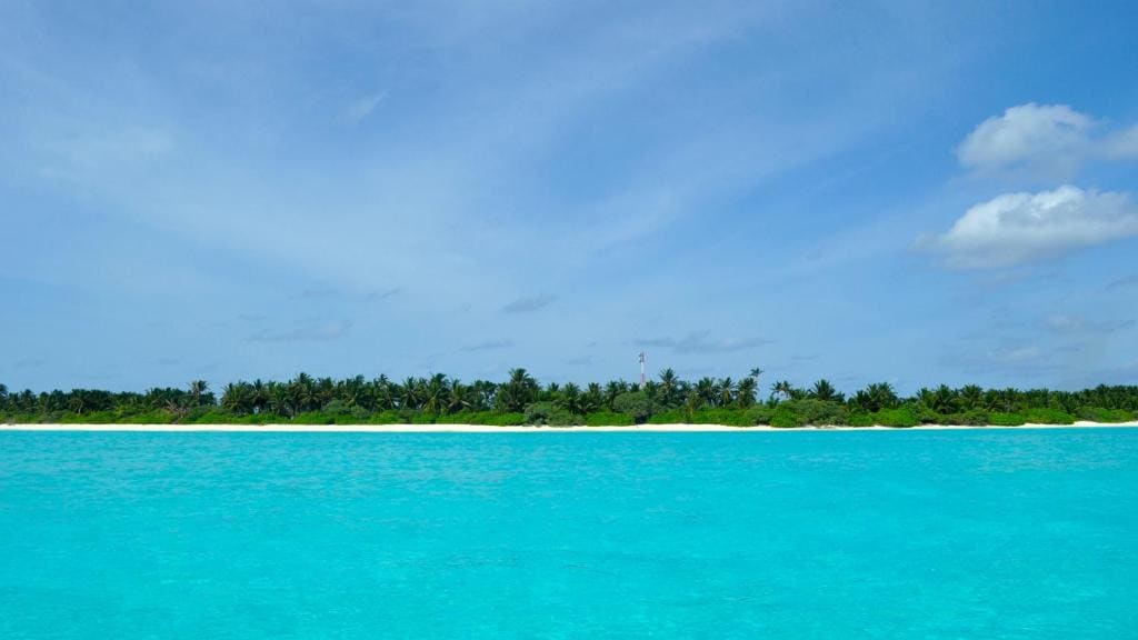 Holiday Cottage Thoddoo, Maldives - عرض 5