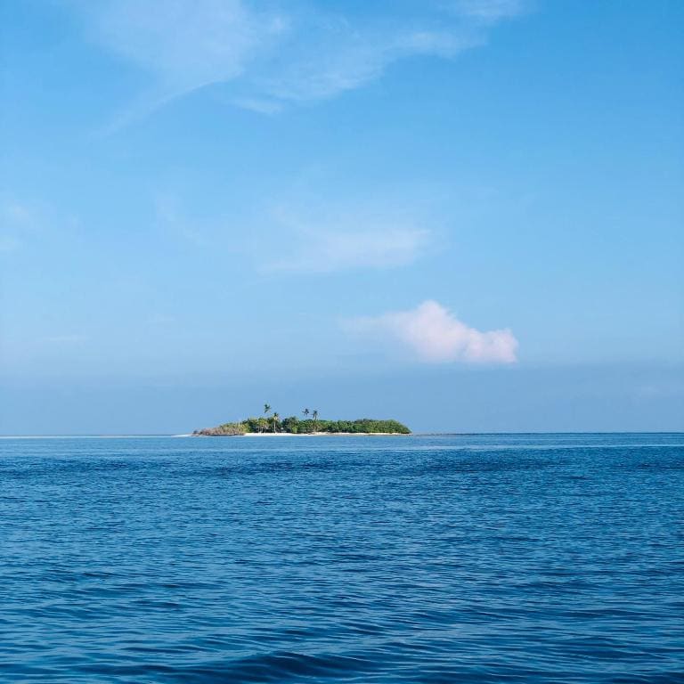 Rasdhoo Wave Blue - View 4