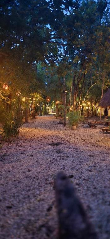 Hotel Kin Tulum Jungle Deluxe - Vista 4