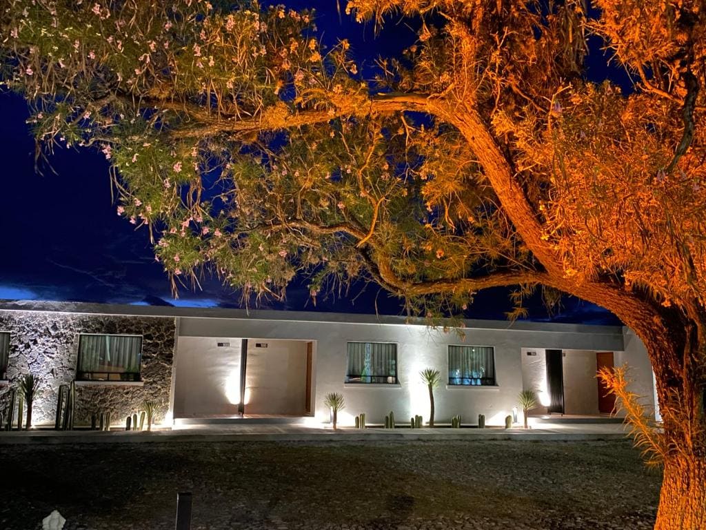 Hotel El Pedregal — главное фото