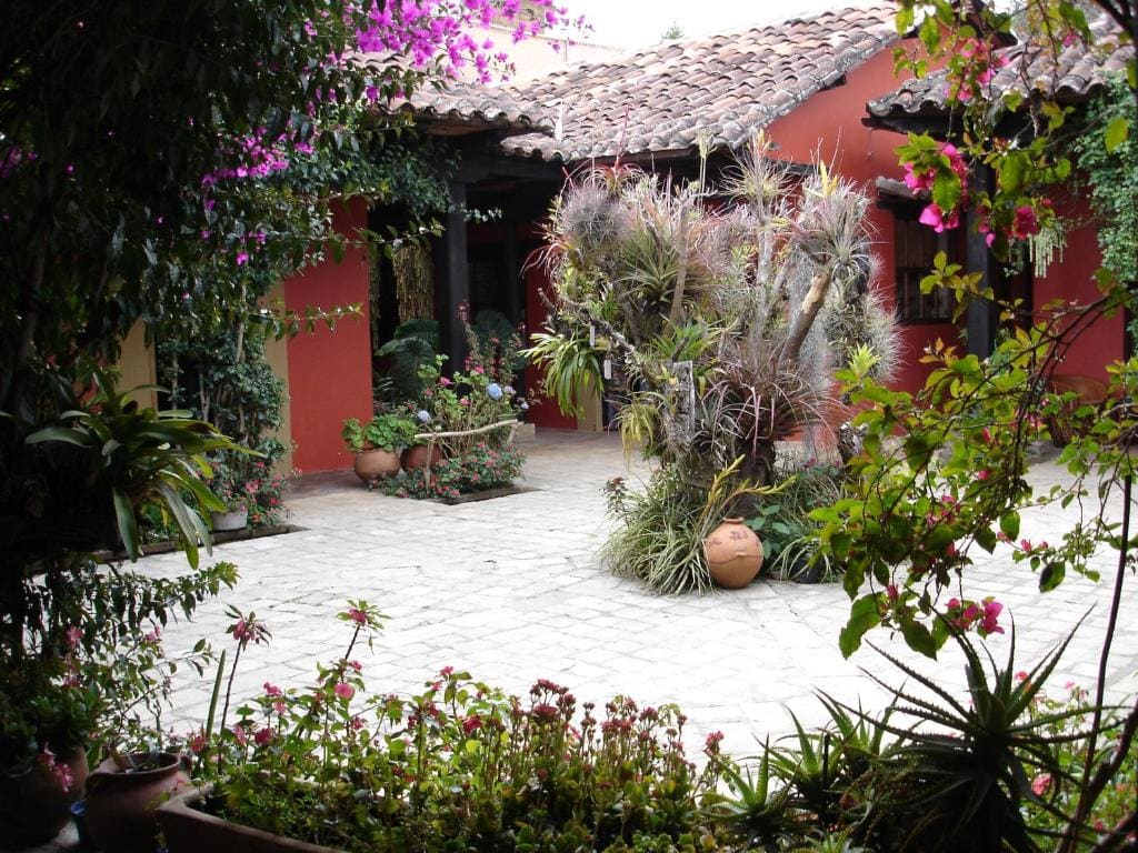 Guayaba Inn Boutique Hotel - View 6