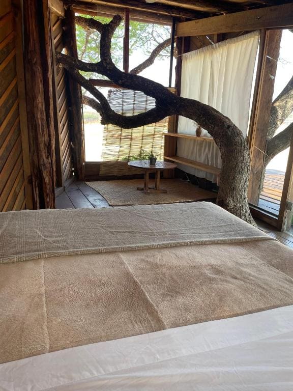 Hangar 5 La Casita del Arbol - View 5