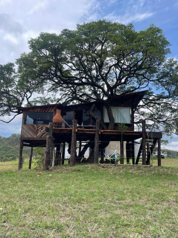 Hangar 5 La Casita del Arbol - Main view