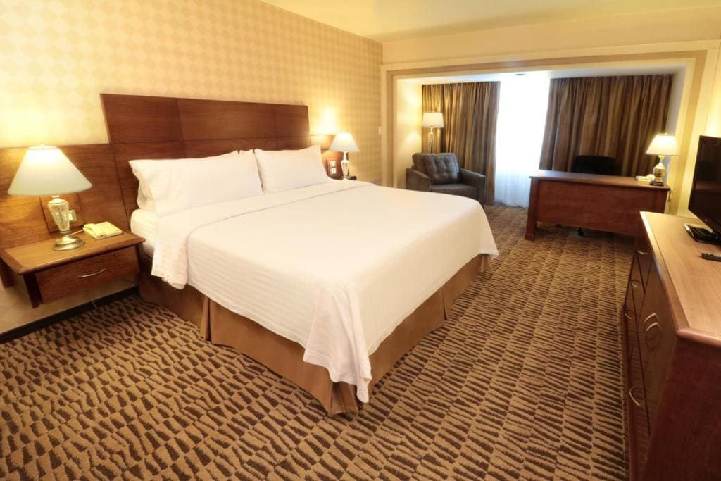 Holiday Inn Monterrey Norte by IHG - View 2