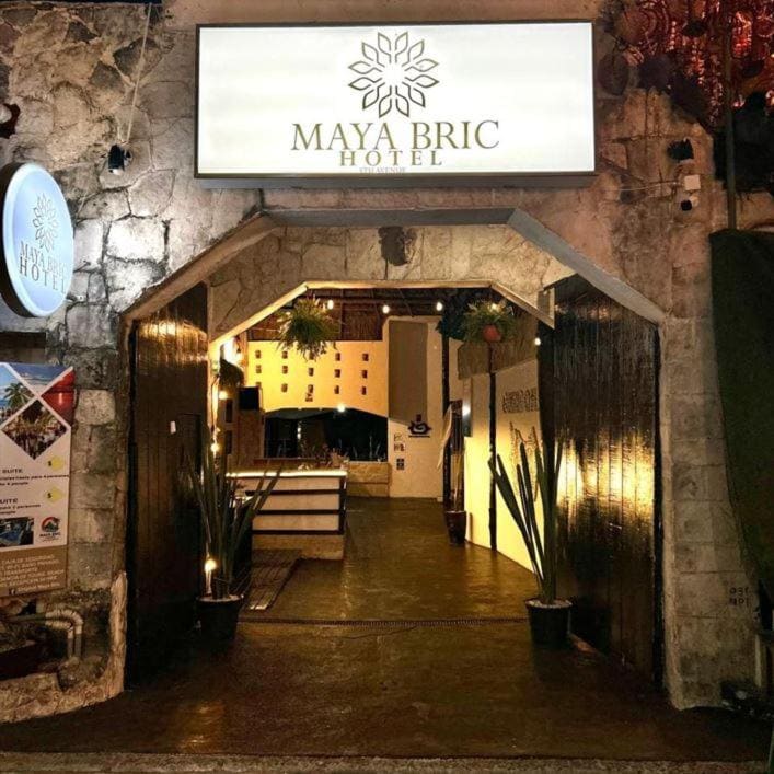 Maya Bric - View 4