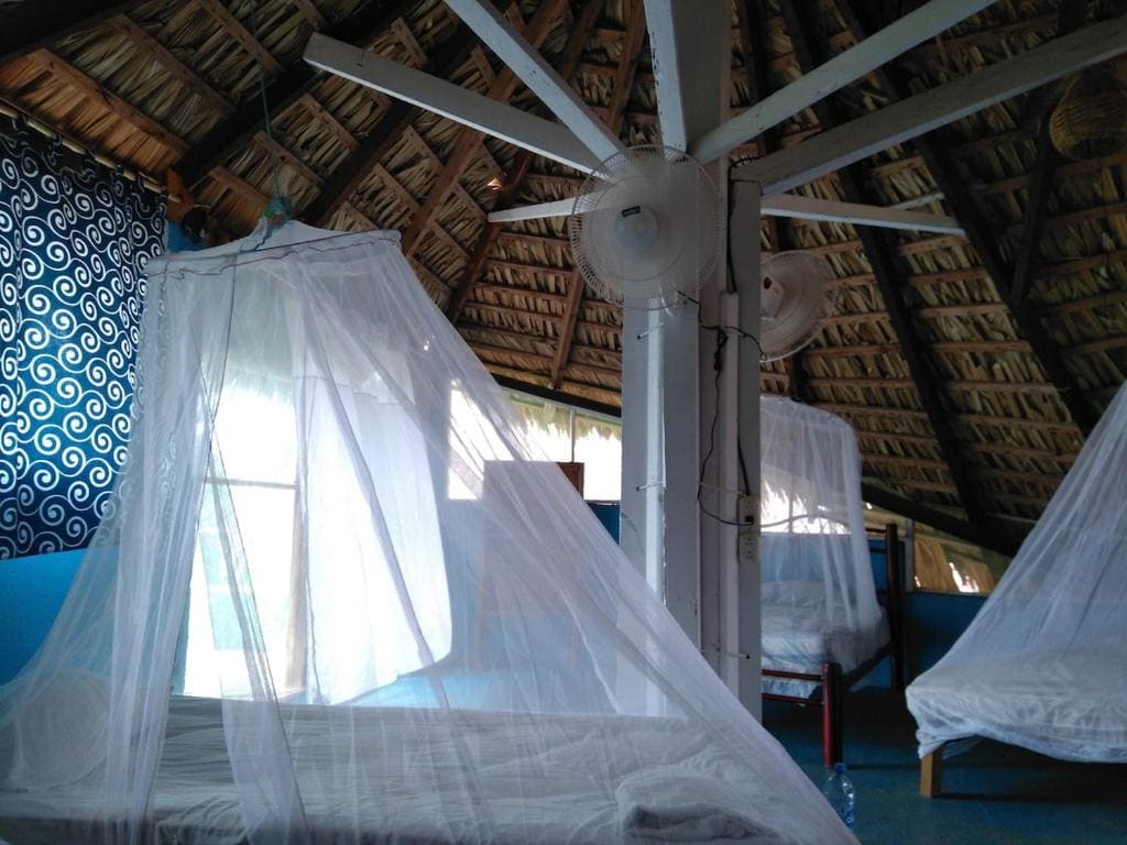 Balamjuyuc Cabañas y Ecohostel - Main view