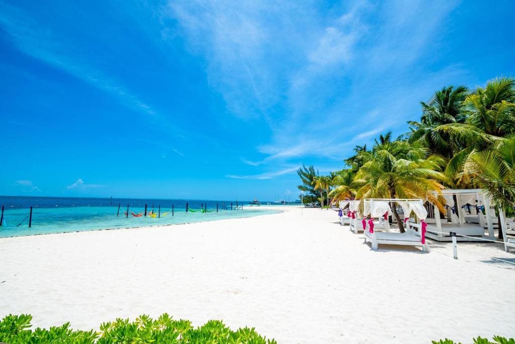Smart Cancun the Urban Oasis - View 4