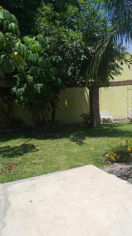 Palmira - View 4