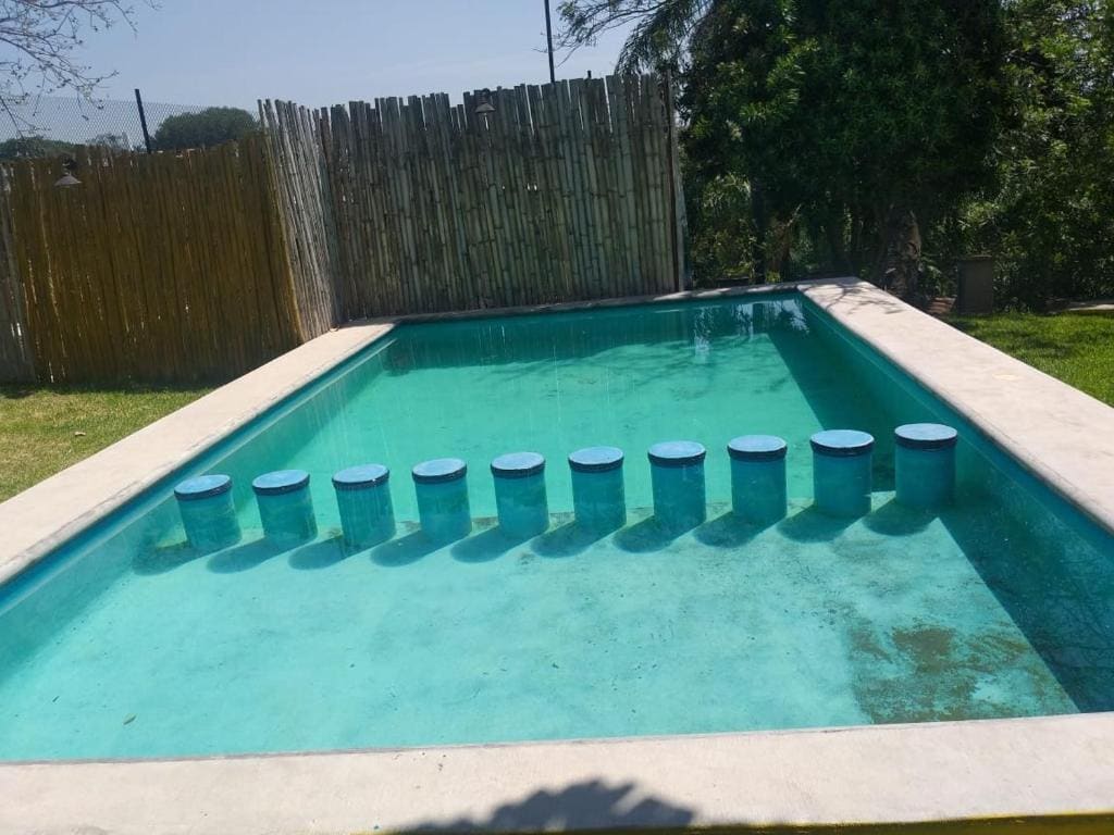 Palmira - View 6