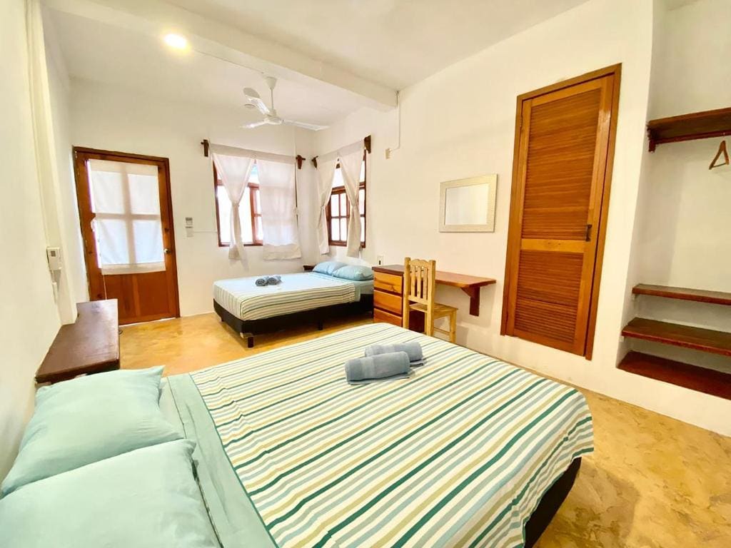 Hotel Papaya Surf - व्यू 5
