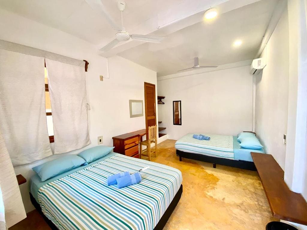 Hotel Papaya Surf - व्यू 4