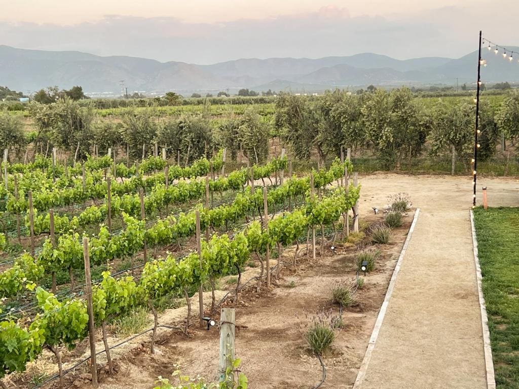Valle Soléa - View 6