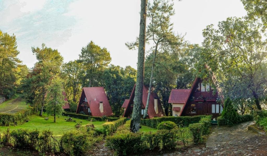 Zirahuen Forest and Resort - View 7