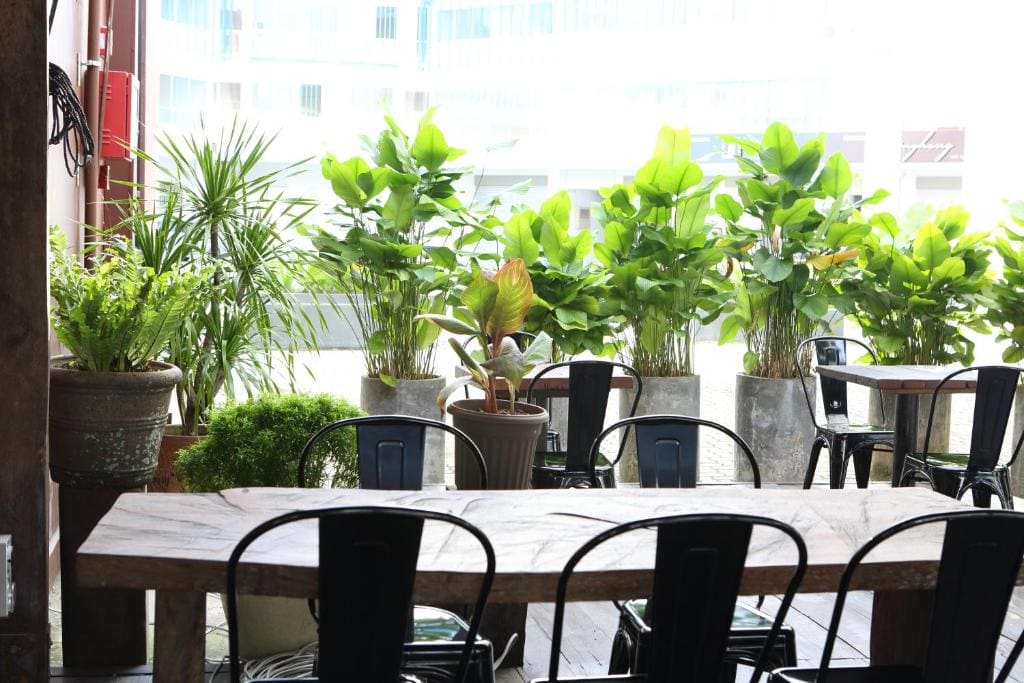De House Hotel - View 6