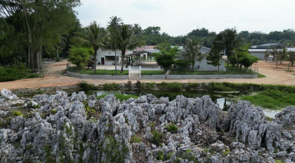 Farmstay Laman Zulfaqar - Main view