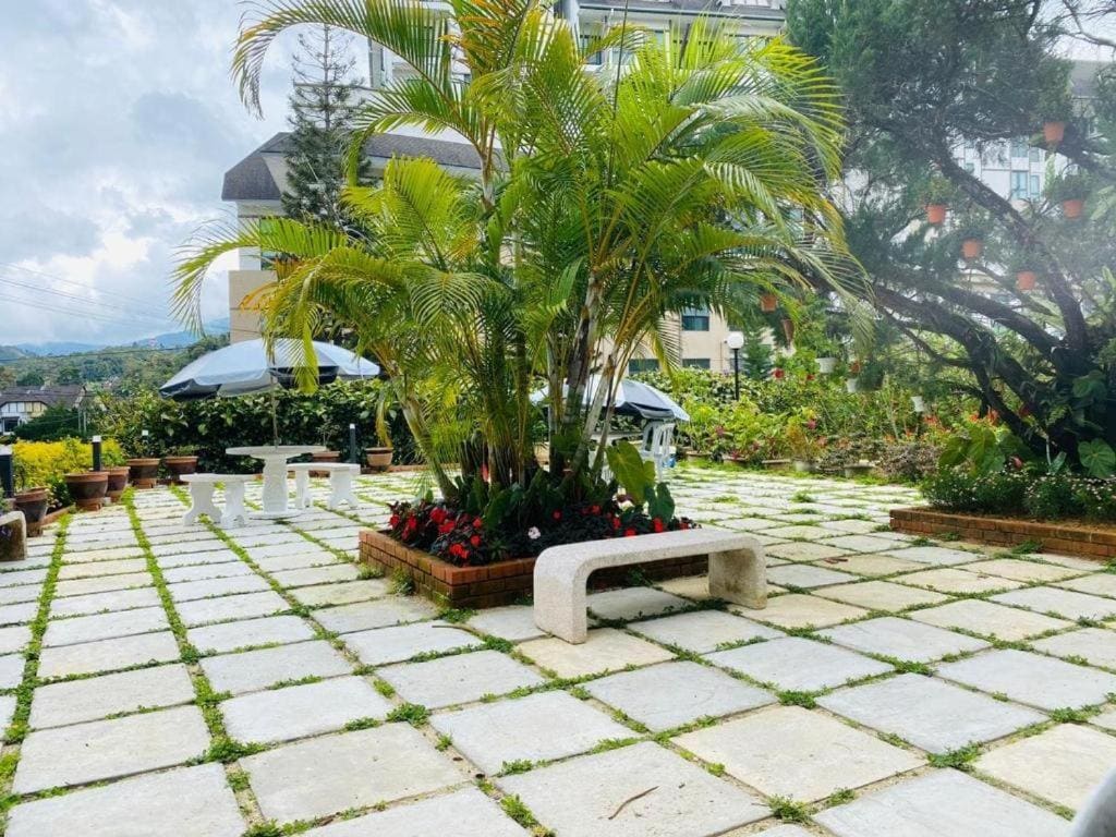 Hillview Inn Cameron Highlands PROMO - View 4