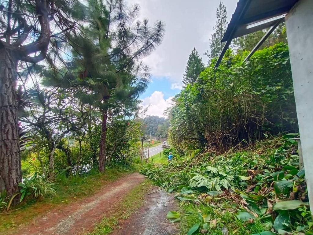 Mountainresthouse - View 5