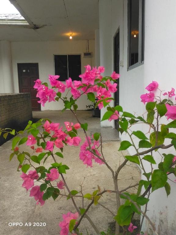 Sukau tomanggong view bed & breakfast - View 5