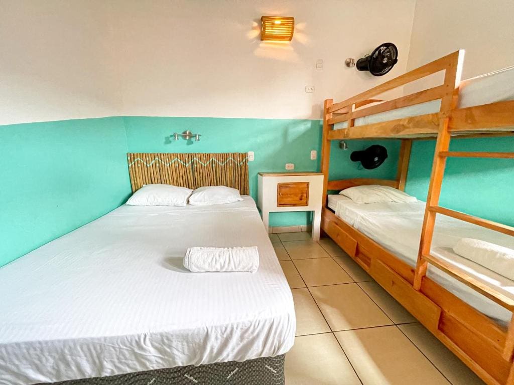 Oasis Hostel - Κύρια προβολή