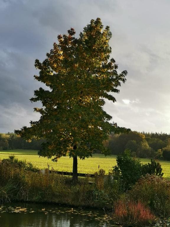 B&B Bovenweg - View 4
