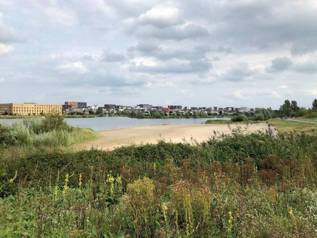 B&B De Zwanebloem - View 2